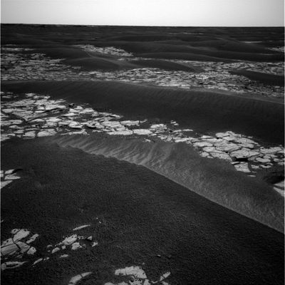Erebus Crater (1) - Sol 590
Original caption:"Opportunity is healthy and continuing its drive toward Erebus Crater. Images taken this week show the interior of the Crater. Plans for the next few Soles are to get closer to the Crater's edge and do extensive imaging. The Team is also planning to use the tools on the RA to examine a dark area of outcrop located on the way to the edge of the Crater".

Nota: certo che alla NASA la chiarezza sembra essere proprio diventata una chimera. Per coloro che non parlano e/o leggono l'Inglese, ecco la traduzione letterale della prima parte di questo assurdo commento.

"Opportunity sta bene e continua la sua marcia verso Erebus Crater. Le immagini riprese questa settimana mostrano l'interno del Cratere...etc."

Ma allora: Opportunity è ancora "sulla via" di Erebus o è già "dentro" Erebus? 
Tralasciando ancora i nostri calcoli ed opinioni, resta solo una (tragica) domanda da porsi: ma quello (o quelli?) che scrive i commenti ufficiali NASA si rende conto di ciò che dice?
Sa scrivere?!?
Parole chiave: Erebus Crater