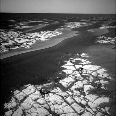 Erebus Crater (4) - Sol 590
nessun commento
Parole chiave: Erebus Crater