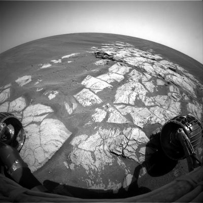 The outcrops of Erebus Crater (2) - Sol 591
nessun commento
Parole chiave: Martian Paving