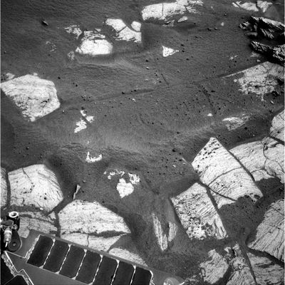 The outcrops of Erebus Crater (3) detail mgnf - Sol 591
nessun commento
Parole chiave: Martian Paving