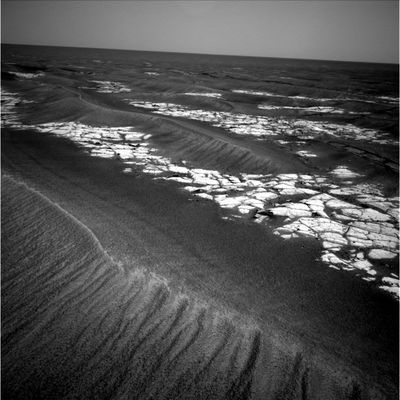 Dunes and Rover tracks on Erebus paving (1) - Sol 599
Una serie di quattro frames (piuttosto belli) per celebrare la vigilia del 600mo Sol da parte di Opportunity. Si tratta dei soliti Pavimenti Marziani e dei familiari Side-Winders. 
La curiosità di questi quattro frames deriva dal fatto che, in più di uno, si possono vedere le tracce lasciate dal Rover mentre "tagliano" - se possiamo dire così... - qualche duna sinuosa per raggiungere le zone libere da sabbia e polveri. Che c'è di strano? Che alcune delle dune attraversate senza problemi da Opportunity ci sembrano uguali - se non addirittura più grandi - della "Purgatory Dune". Ve la ricordate?!?
Parole chiave: Erebus Crater