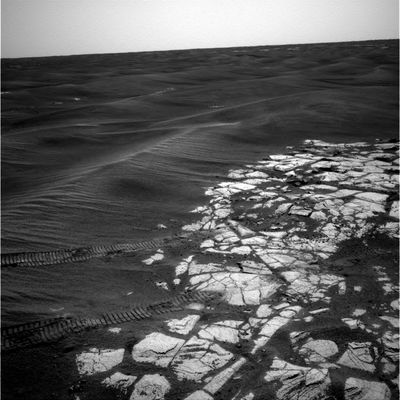 Dunes and Rover tracks on Erebus paving (4) - Sol 599
Un'ultima curiosità: avete notato come sìano rari i frames in 3D che riguardano Meridiani Planum? 
Forse perchè, in fondo, non c'è niente di spettacolare a guardare (sia pure tridimensionalmente) fra una duna e l'altra...O forse - ma si, diamoci un'alternativa - perchè la tridimensionalità potrebbe dare un contributo sostanziale e decisivo ai Ricercatori in possesso dei dati telemetrici contingenti a ciascun frame per stabilire, una volta per tutte, "quanto" sìano "effettivamente alti, larghi e distanziati fra loro" i Side-Winders.

Provate a pensarci sopra...
Parole chiave: Erebus Crater