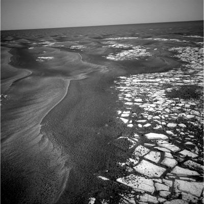 On the rim of Erebus Crater (6) - Sol 601
Se l'origine dei craterini è comune a quella dei loro "fratelli maggiori" (e cioè, come NASA ed ESA comunemente sostengono, "da impatto"), allora dovremmo supporre che la zona di Marte/Meridiani sia soggetta ad un bombardamento meteorico quasi costante al quale il Rover si è sottratto per oltre un anno e mezzo solo grazie ad una smisurata (e davvero poco plausibile...) dose di fortuna.
Questo, ovviamente, se i craterini fossero recenti (e comuque non potrebbe essere altrimenti, qualora ammettessimo la sostanziale correttezza dei dati meteo-originali emessi da NASA ed ESA).
Tralasciamo la diatriba sulla consistenza delle sabbie e delle polveri di Marte/Meridiani e veniamo all'unica conclusione possibile: tutti i dati che sono stati esposti - assieme alle teorie che potrebbero sposarli - sono intrinsecamente contraddittori.
Questo vuol dire che la situazione più probabile (più vicina alla realtà, insomma) è che esistano dei problemi di autenticità e genuinità alle loro fonti e le loro fonti sono...
Parole chiave: Erebus Crater