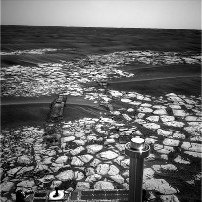 On the rim of Erebus Crater (9) - Sol 601
nessun commento
Parole chiave: Erebus Crater