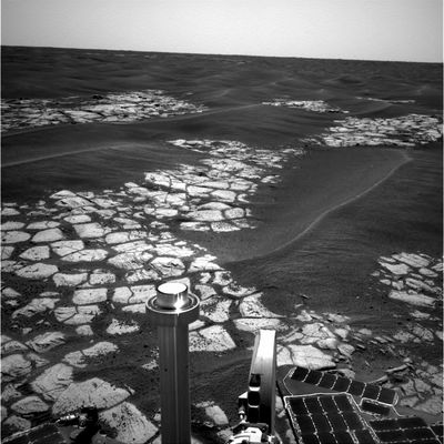On the rim of Erebus Crater (10) - Sol 601
nessun commento
Parole chiave: Erebus Crater