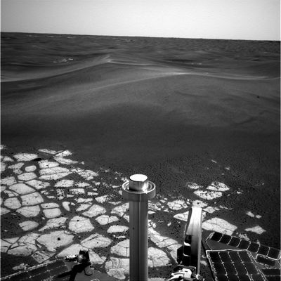 On the rim of Erebus Crater (16) - Sol 601
nessun commento
Parole chiave: Erebus Crater