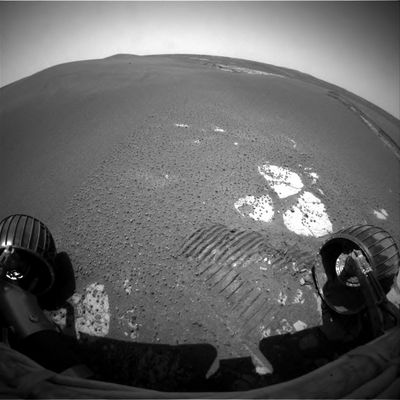 Landscape from the Front-HazCam (1) - Sol 608
La tessitura non uniforme di questa zona di Meridiani, proprio a ridosso del margine interno del Cratere Erebus, ci spinge ancora una volta a chiederci "fino a che punto" i frames Opportunity (e Spirit) sìano genuini. E' evidente che i particolari incongrui di queste immagini sono ormai da tempo arrivati nel numero delle migliaia (abbastanza da far gridare allo scandalo "planetario"...) ma, dato che le Fonti Ufficiali sono sempre molto attente ed efficaci nel "tacere e disinformare" e dato che di Ricercatori validi e realmente indipendenti ce ne sono davvero pochi in circolazione, le nostre segnalazioni - la cui eco è evidentemente limitatissima - paiono destinate a perdersi nel Mare Magnum delle "chiacchiere scientifiche da bar".
Almeno per adesso...
Parole chiave: Martian landscape - Meridiani Planum, near Erebus Crater