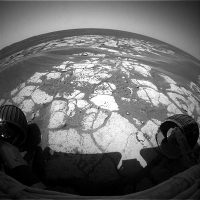 Landscape from the Front-HazCam (3) - Sol 608
nessun commento
Parole chiave: Martian landscape - Meridiani Planum, near Erebus Crater
