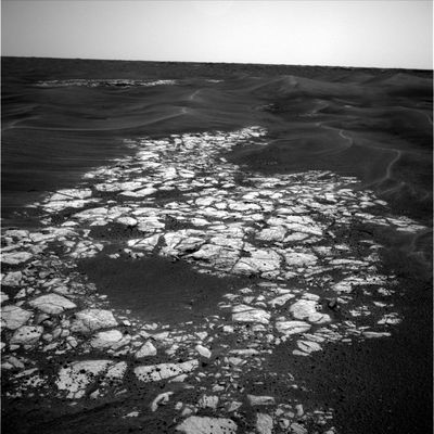 Erebus' surroundings: panorama from Sol 616 (1)
NASA - Official Status Report:"Opportunity is continuing to travel westward around Erebus Crater. The Rover completed a 26,18-meter (about 86-foot) drive on Sol 608 (Oct. 9, 2005) with very little slip. On Sol 610, the team planned another drive, but the spacecraft experienced a software reset at about 9:20 a.m., MLT. That deactivated all sequences and left the spacecraft in automode before the Sol 610 master sequence was active. On Sol 611, the team sent a recovery sequence to reestablish a master sequence and reinitialize the PanCam mast assembly state (the position of the Rover's "head"). The team received confirmation of success. The Sol 612 plan included another attempt to do the drive originally planned for Sol 610. However, the master sequence for Sol 612 was not received properly by the spacecraft because of bad pointing or weather. So, the run-out plan from Sol 611 was executed".
Parole chiave: Mars Panorama - Erebus Crater