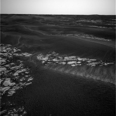 Erebus' surroundings: panorama from Sol 616 (2)
nessun commento
Parole chiave: Mars Panorama - Erebus Crater