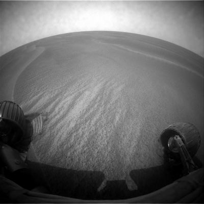 Opportunity's horizon (3) - Sol 626
Original caption:"Right Front Haz-Cam Non-linearized Full frame EDR acquired on Sol 626 of Opportunity's mission to Meridiani Planum at approximately 11:52:39 MLT".
Parole chiave: Martian landscape - Meridiani Planum, near Erebus Crater