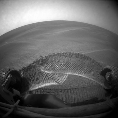 Panorama (2): after digging - Sol 626
nessun commento
Parole chiave: Mars Panorama - Meridiani Planum