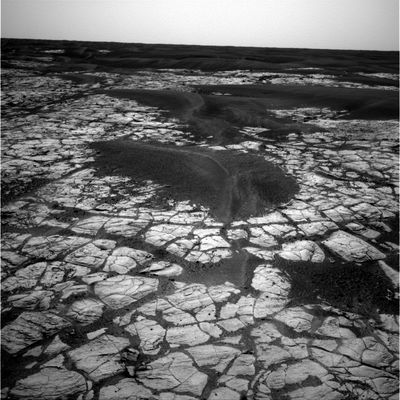 After the Dust-Storm (9) - Sol 632
nessun commento
Parole chiave: Mars Panorama - Meridiani Planum - Erebus Area