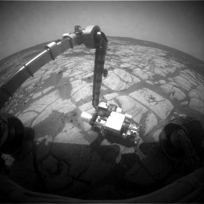 Front View (3) - Sol 635
Original caption:"Right Front Haz-Cam Non-linearized Downsampled EDR acquired on Sol 635 of Opportunity's mission to Meridiani Planum at approximately 11:03:35 MLT".
Parole chiave: Mars Panorama - Meridiani Planum - Erebus Area