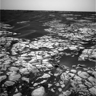 The horizon of Opportunity (2) - Sol 642
nessun commento
Parole chiave: Mars Panorama - Erebus Crater