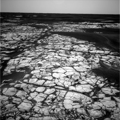 The horizon of Opportunity (3) - Sol 642
nessun commento
Parole chiave: Mars Panorama - Erebus Crater