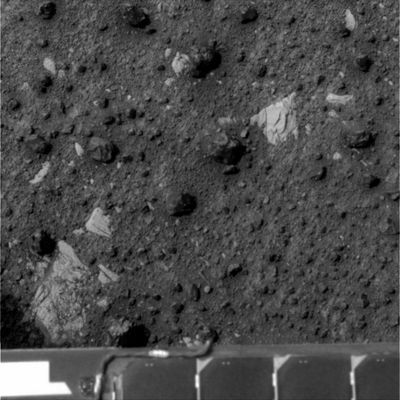 Looking down... - Sol 642
Original caption:"Right Pan-Cam Non-linearized Full frame EDR acquired on Sol 642 of Opportunity's mission to Meridiani Planum at approximately 09:49:29 MLT. Camera commanded to use Filter 5 (904 nm)". 
Parole chiave: Mars rocks, sand and debris - Erebus Area