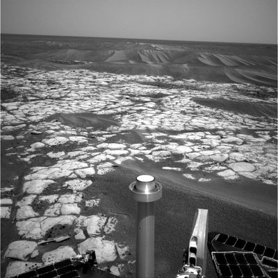 The big "dunes" near Erebus Crater - Sol 645
nessun commento
Parole chiave: Martian Dunes - Meridiani Planum - Erebus Area