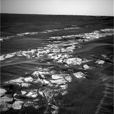 Nice Panorama (2) - Sol 649
nessun commento
Parole chiave: Mars Panorama - Erebus Crater