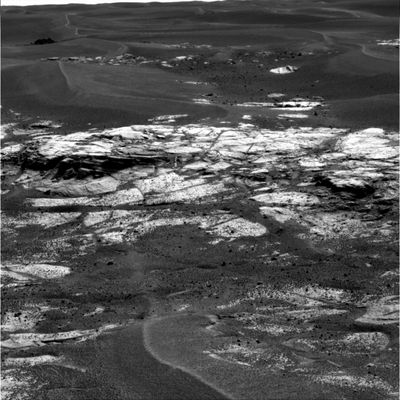 Nice Panorama (5) - Sol 649
nessun commento
Parole chiave: Mars Panorama - Erebus Crater