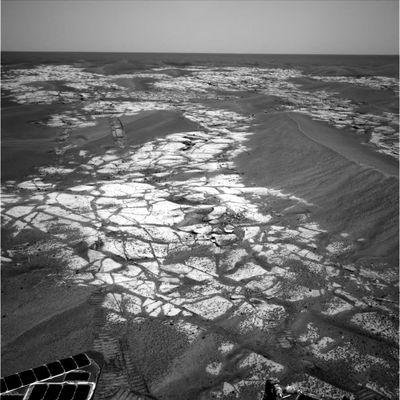 The sands and outcrops near Erebus' rim (2) - Sol 650
nessun commento
Parole chiave: Martian Dunes and outcrops - Meridiani Planum - Erebus Area