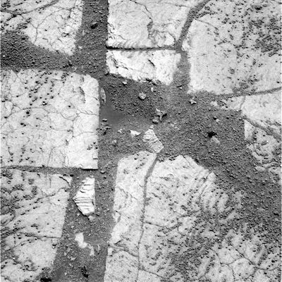 The "Martian Paving", from VERY close (1) - Sol 651
Per questa piccola sequenza di immagini estremamente ravvicinate degli outcrops di Meridiani Planum, Area Erebus Crater, che da tempo abbiamo battezzato "Pavimenti Marziani", gli unici commenti possibili sono nei dettagli che le immagini stesse ci offrono, se abbiamo abbastanza occhio ed attenzione per trovarli...
Parole chiave: Martian Paving - Erebus Area