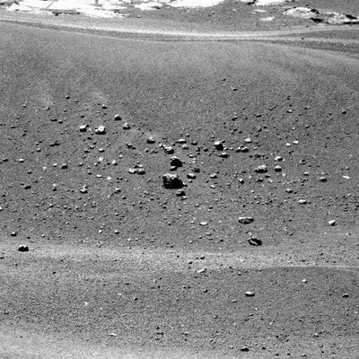 Debris on the side of a dune... - Sol 655
nessun commento
Parole chiave: Martian Dunes - Meridiani Planum - Erebus Area