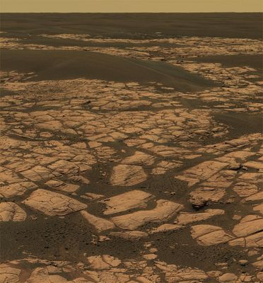 The "Martian Paving" in approximately true colors: the Olympia Panorama (3) - Sol 657
nessun commento
Parole chiave: Martian Paving - Erebus Area