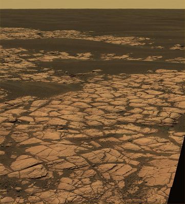 The "Martian Paving" in approximately true colors: the Olympia Panorama (4) - Sol 657
nessun commento
Parole chiave: Martian Paving - Erebus Area