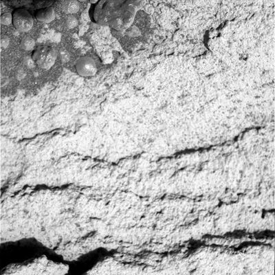 Facing a strange outcrop (3) - Sol 671
Original caption:"Microscopic Imager Non-linearized Full frame EDR acquired on Sol 671 of Opportunity's mission to Meridiani Planum at approximately 11:17:57 MLT; Microscopic Imager dust cover commanded to be OPEN".

Da notare, in basso, le stratificazioni lamellari (diremmo "a tasca") che sembrano caratterizzare tutti le aree ricoperte dai Pavimenti Marziani e poi, in alto a Sx, dei rilievi traslucidi che la NASA ha assimilato ai berries ma che, a nostro parere, ne sono solo dei lontani parenti. In realtà i Martian Berries sono, in prevalenza, delle "sferule" opache - le cui origini e composizione sono ancora ignote - che NON si appoggiano al suolo di Marte (almeno a nostro avviso), ma ne sono "parte integrante" (e cioè accedono alle superfici sulle quali vengono riscontrate). 
Ad ogni modo, delle analoghe formazioni traslucide (che abbiamo deciso di battezzare "funghi") le avevamo già incontrate all'interno di Endurance Crater, mesi e mesi fa...
Parole chiave: Microscopic Imager (MI)