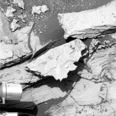 Martian Paving, Pockets & Razorblades (3) - Sol 678
nessun commento
Parole chiave: Martian Paving - Erebus Area