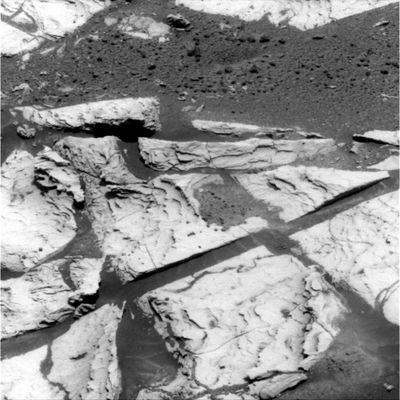 Martian Paving, Pockets & Razorblades (5) - Sol 678
nessun commento
Parole chiave: Martian Paving - Erebus Area