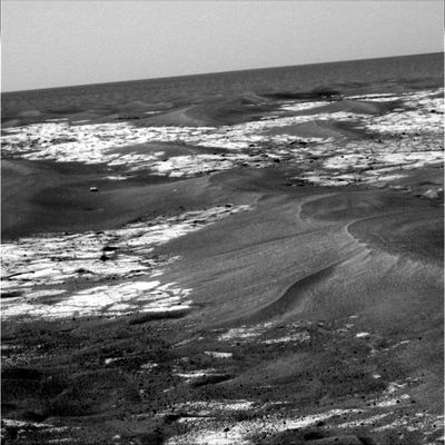 Big dunes, small dunes (5) - Sol 681
nessun commento
Parole chiave: Martian Dunes, Ripples and Outcrops - Meridiani Planum - Erebus Area