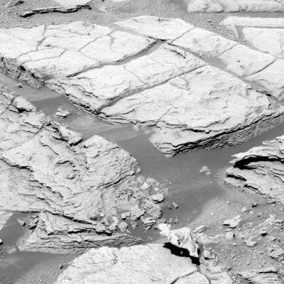 Razorblades! - Sol 705
Allora: quello che Vi abbiamo raccontato in sede di commento al frame precedente è una costruzione (geologicamente e logicamente) credibile oppure è la solita "Scienza-fuffa" che ci viene propinata allo scopo di non disturbare le "tranquille acque" del Sapere Comune Consolidato? 

Forse la Verità è che le "strutture" che stiamo osservando da mesi non appartengono (solo) al Regno della Geologia, bensì (anche) a quello della Biologia...
Attenzione: non stiamo facendo i sofisti e non ci piace "sparare nel buio", ma i Pavimenti di Marte, i Martian Berries, i Razrblades e così via - con tutte le loro curiose caratteristiche e caratterizzazioni - a volte ci fanno pensare, più che a rocce sedimentarie, a dei "residui fossili".

Andate a leggere nella nuova Sezione "True-Planets" - visibile a tutti - l'interessante articolo del Dr Pullini e poi...provate a riguardarVi, con un occhio "diverso", alcune immagini delle "Rocce di Marte".

Buona lettura!
Parole chiave: Outcrops - Erebus Crater - Razorblades