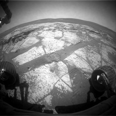 Outcrops Panorama (1) - Sol 707
nessun commento
Parole chiave: Martian Outcrops - near Erebus rim