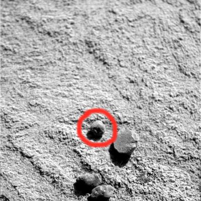 A crack in the "berry"! - Sol 708
Un detail mgnf davvero spettacolare che ci fa vedere, ancora una volta e con eccellente dovizia di particolari, che questi "Martian Berries", quando si spaccano, espongono un interno che, almeno in apparenza, si direbbe VUOTO.

Già, vuoto. E forse è proprio il caso di iniziare a prendere molto sul serio l'eventualità che questi "frutti di bosco" non sìano quello che sembrano (ovvero, come dice la NASA, dei semplici "piccoli granuli di roccia")...
Parole chiave: Martian Berries - Controversial Frame