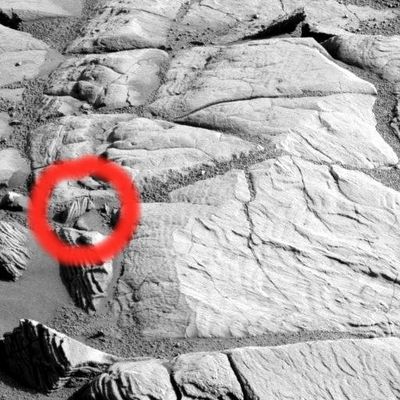 D�j� vu?!?... - Sol 710
Original caption:"Left PanCam Non-linearized Sub-frame EDR acquired on Sol 710 of Opportunity's mission to Meridiani Planum at approximately 15:22:02 MLT
Camera commanded to use Filter 6 (482 nm)".

Cerchiatura Rossa: potremmo anche sbagliarci, ma a noi questo sembra un dettaglio "già visto" in un frame piuttosto vecchio. 
Svista nostra o svista "NASA"?
Provate a verificare anche Voi...
Parole chiave: Martian Outcrops - Erebus Area - Controversial
