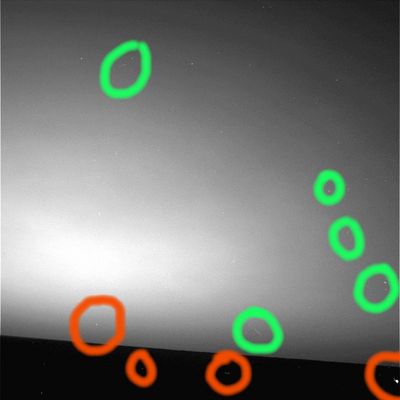 Morning Lights - Sol 718
Cerchiature Rosse: photo-artifacts oppure oggetti reali? Ad esempio: la prima Cerchiatura alla Vostra Sx potrebbe mostrarci la Terra, così come appare nel cielo mattutino di Marte, mentre le altre Cerchiature Rosse ben potrebbero riferirsi ad oggetti brillanti (cristalli o metalli?) che luccicano nelle prime luci del mattino.
Oppure si tratta di una marea di artefatti fotografici?
Attenzione però: se si trattasse di photo-artifacts (e ci riferiamo, in particolare, alle piccole strisce di luce che vediamo nel Cielo di Marte - contrassegnate da Cerchiature Verdi), la NASA dovrebbe cambiare direzione e correggersi. Il motivo è semplice: analoghi streaks, in passato (verificare le foto notturne di Spirit, ad esempio), vennero attribuiti al passaggio di raggi cosmici (ergo la natura di photo-artifacts venne esclusa).

Che cosa stiamo guardando?

Caption originale:"Right Nav-Cam Non-linearized Full frame EDR acquired on Sol 718 of Opportunity's mission to Meridiani Planum at approximately 04:48:44 MLT".
Parole chiave: Mars Panorama - Morning lights