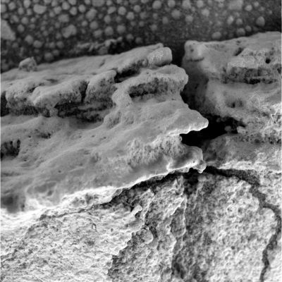 Martian "Corals" (1) - Sol 727
Caption originale:"Microscopic Imager Non-linearized Full frame EDR acquired on Sol 727 of Opportunity's mission to Meridiani Planum at approximately 13:53:54 mlt.
Microscopic Imager dust cover commanded to be OPEN".
Parole chiave: Microscopic Imager (MI) - Controversial Frame