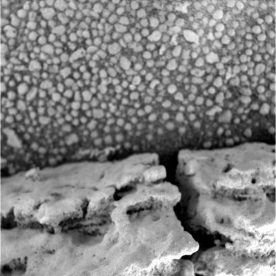 Martian "Corals" (2) - Sol 727
Caption originale:"Microscopic Imager Non-linearized Full frame EDR acquired on Sol 727 of Opportunity's mission to Meridiani Planum at approximately 13:56:01 MLT, Microscopic Imager dust cover commanded to be OPEN".
Parole chiave: Microscopic Imager (MI) - Controversial Frame