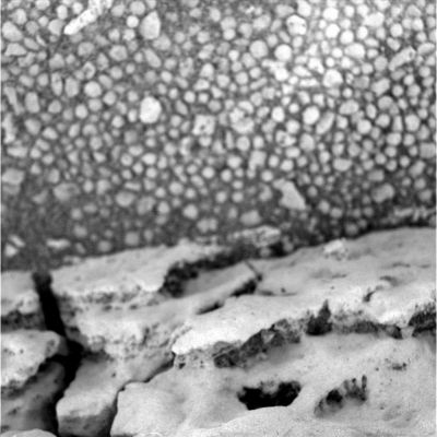 Martian "Corals" (4) - Sol 727
Caption originale:"Microscopic Imager Non-linearized Full frame EDR acquired on Sol 727 of Opportunity's mission to Meridiani Planum at  approximately 14:04:39 MLT.
Microscopic Imager dust cover commanded to be OPEN".
Parole chiave: Microscopic Imager (MI) - Controversial Frame