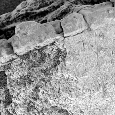 Martian "Corals" (6) - Sol 727
Caption originale:"Microscopic Imager Non-linearized Full frame EDR acquired on Sol 727 of Opportunity's mission to Meridiani Planum at  approximately 14:37:15 MLT.
Microscopic Imager dust cover commanded to be OPEN".
Parole chiave: Microscopic Imager (MI) - Controversial Frame