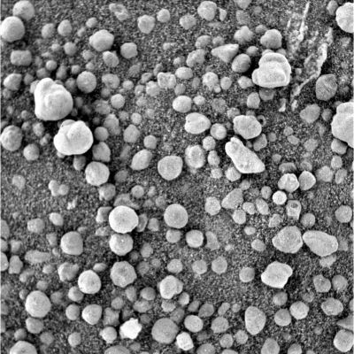 Martian "berries" or...Martian "eggs"? - Sol 727
Caption originale:"Microscopic Imager Non-linearized Full frame EDR acquired on Sol 727 of Opportunity's mission to Meridiani Planum at  approximately 15:25:49 MLT.
Microscopic Imager dust cover commanded to be OPEN".
Parole chiave: Microscopic Imager (MI) - Controversial Frame