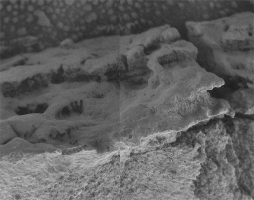Roosevelt is on Mars (2) - Sol 727
Difficile commentare la costruzione NASA in ordine alla possibile origine di "Roosevelt" senza passare per quelli che non sono mai d'accordo con quanto supposto dalla Scienza Convenzionale e dunque ci asteniamo. L'unico punto su cui desideriamo ancora sollecitarVi è nel (solito) "Rasoio di Okkam": la NASA, a prescindersi dal tipo di fenomeno investigato, dai dati ad esso riferibili e, last but not least, dalla loro intrinseca bontà ed affidabilità, opta SEMPRE - a nostro parere - per le spiegazioni più contorte, complesse ed articolate. Sempre.

Forse hanno ragione loro o forse, a furia di regionare in termini ultra-scientifici e razionali, i nostri Amici hanno perso completamente di vista la "semplicità" che di regola informa la Natura.

Ora giudicate Voi...
Parole chiave: Martian Outcrops - near Erebus rim