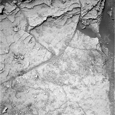 Erebus Outcrop's: details (3) - Sol 731
nessun commento
Parole chiave: Martian Outcrops - Erebus Area
