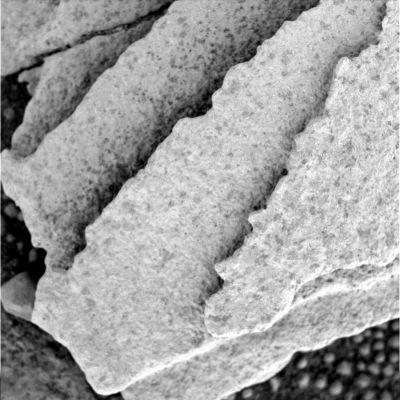 Razorblades: detail mgnf (1) - Sol 732
Caption originale:"Microscopic Imager Non-linearized Full frame EDR acquired on Sol 732 of Opportunity's mission to Meridiani Planum at approximately 11:23:45 MLT.
Microscopic Imager dust cover commanded to be OPEN".
Parole chiave: Microscopic Imager (MI) - Razorblades near Erebus