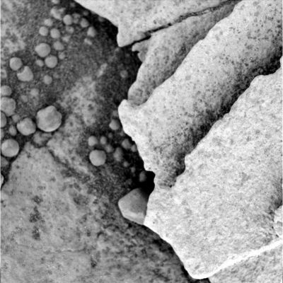 Razorblades: detail mgnf (2) - Sol 732
Caption originale:"Microscopic Imager Non-linearized Full frame EDR acquired on Sol 732 of Opportunity's mission to Meridiani Planum at approximately 11:25:46 MLT.
Microscopic Imager dust cover commanded to be OPEN".
Parole chiave: Microscopic Imager (MI) - Razorblades near Erebus