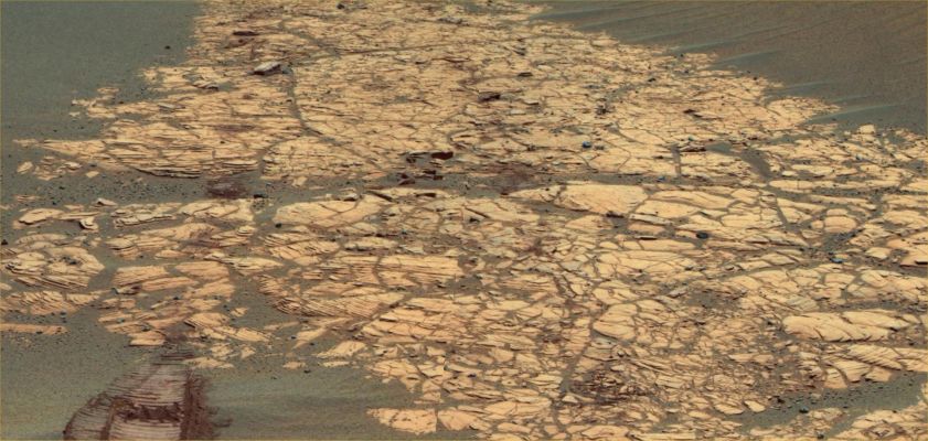 "Bosque", on the way to Victoria - Sol 784 (1)
Caption NASA originale:"As NASA's Mars Exploration Rover Opportunity continues a Southward trek from Erebus Crater toward Victoria Crater, the terrain consists of large sand ripples and patches of flat-lying rock outcrops, as shown in this image. Whenever possible, rover planners keep Opportunity on the "pavement" for best mobility. 

This false-color image mosaic was assembled using images acquired by the PanCam on Opportunity's 784th Sol (April 8, 2006) at about 11:45 MLT. The camera used its 753-, 535- and 432-nnmt filters. This view shows a portion of the outcrop named "Bosque", including Rover wheel tracks, fractured and finely-layered outcrop rocks and smaller, dark cobbles littered across the surface".
Parole chiave: Martian Paving