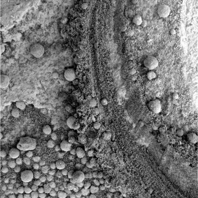 Up-close and personal (2) - Sol 806
nessun commento
Parole chiave: Microscopic Imager - Martian Paving and Berries