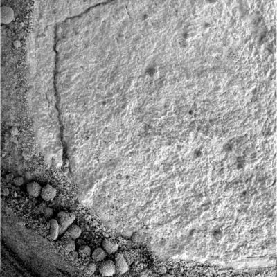 Up-close and personal (5) - Sol 806
nessun commento
Parole chiave: Microscopic Imager - Martian Paving